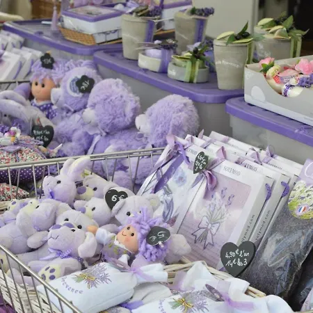 4 Couchages Avec Terrasse, Parking Et Proche Au Lavandou - Fr-1-251-240 Apartman *