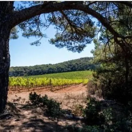 4 Couchages Avec Terrasse, Parking Et Proche Au Lavandou - Fr-1-251-240