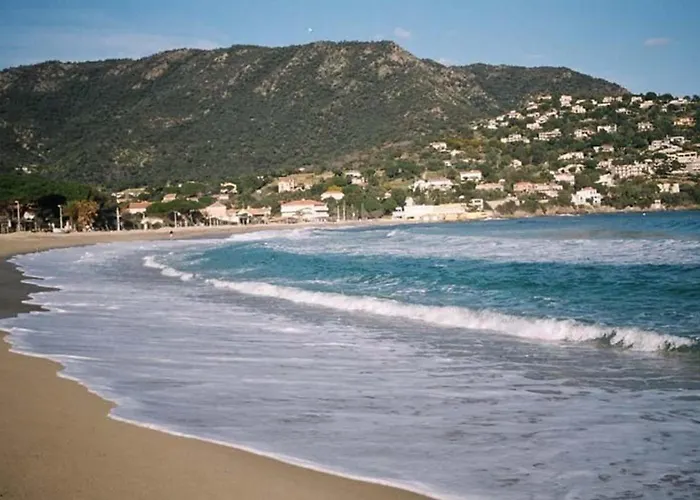 Апартаменти 4 Couchages Avec Terrasse, Parking Et Proche Au Lavandou - Fr-1-251-240