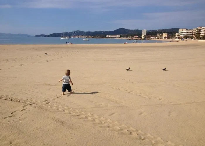 Апартаменти 4 Couchages Avec Terrasse, Parking Et Proche Au Lavandou - Fr-1-251-240